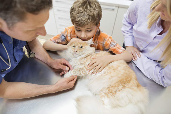 Vétérinaire et propriétaires examinant le chat en chirurgie vétérinaire — Photo de stock