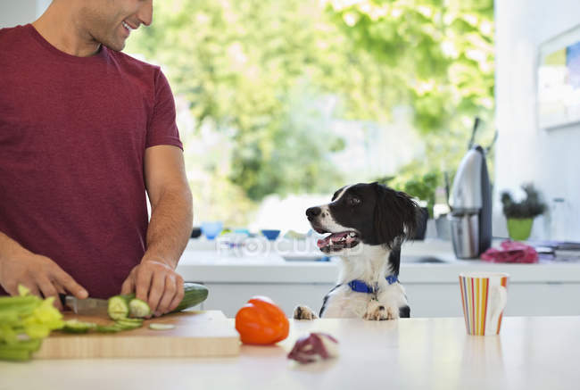 Homem cozinhar com cão na cozinha em casa moderna — Fotografia de Stock