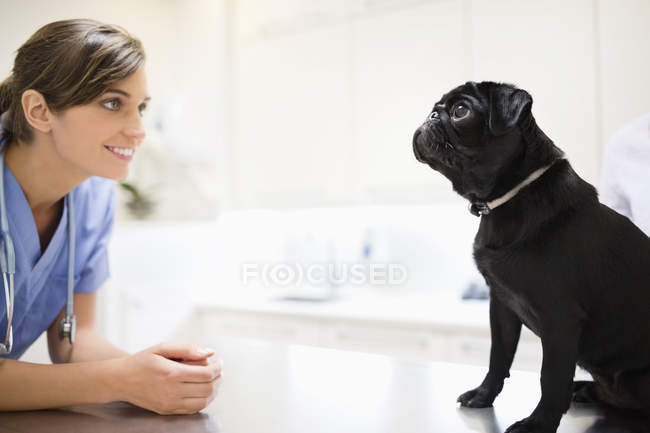 Tierarzt begrüßt Hund in Tierarztpraxis — Stockfoto