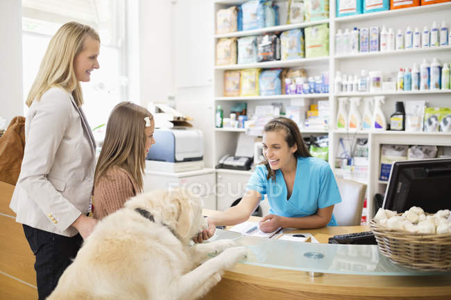 Recepcionista saludo perro en cirugía veterinaria - foto de stock