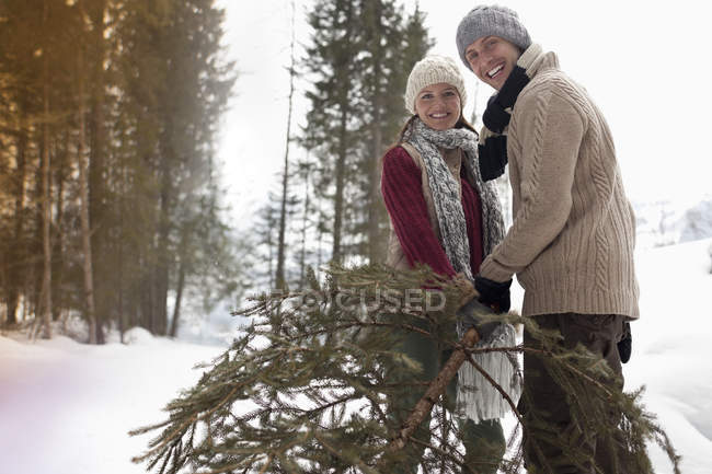 Porträt eines glücklichen Paares mit frischem Weihnachtsbaum im verschneiten Wald — Stockfoto
