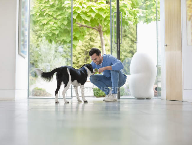 Улыбающийся мужчина ласкает собаку на кухне — стоковое фото