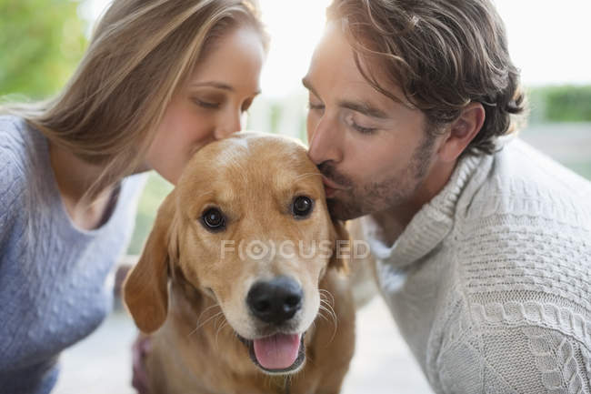 Couple kissing dog indoors, closeup — Stock Photo