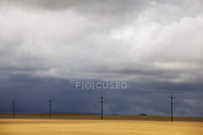 Telephone poles in rural landscape — Stock Photo