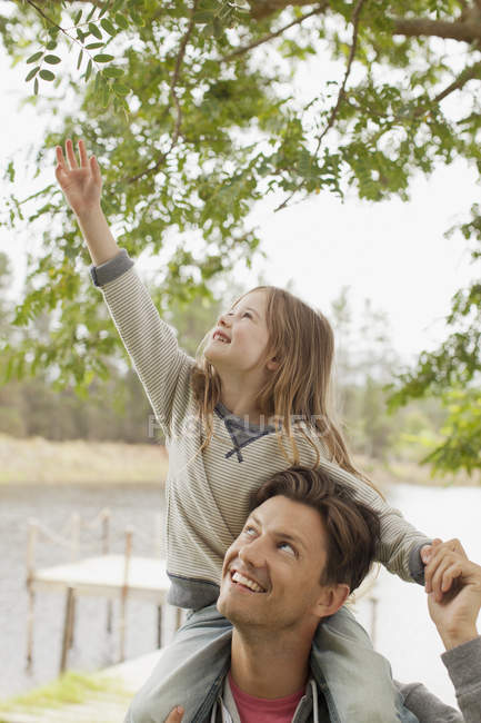 Filha nos ombros do pai, à procura de um ramo — Fotografia de Stock