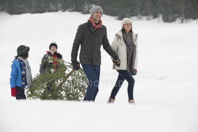 Smiling family dragging fresh Christmas tree in snowy field — Stock Photo