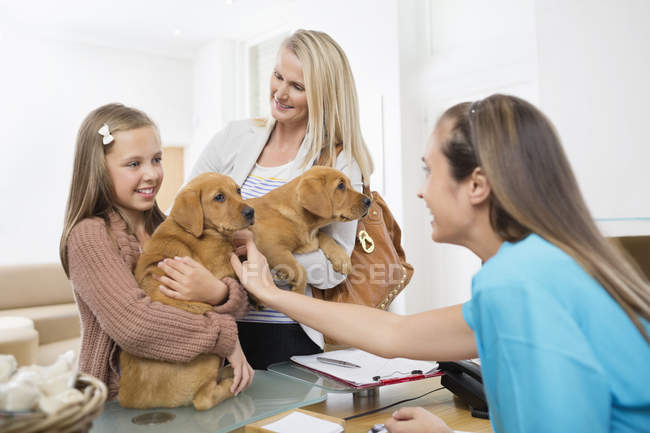 Proprietários trazendo cães para cirurgia veterinária — Fotografia de Stock