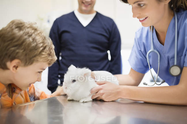 Veterinario y propietario examinando conejo en cirugía veterinaria - foto de stock