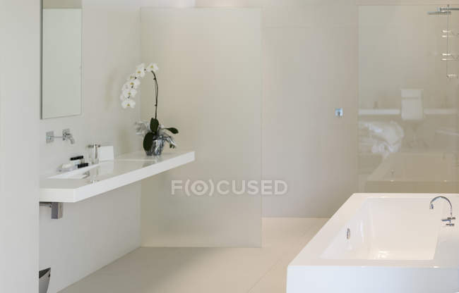 Orchidée, lavabo et baignoire dans la salle de bain moderne — Photo de stock