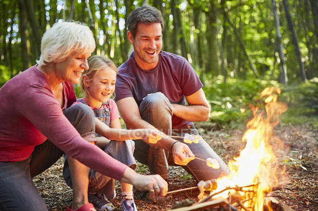 Multi-generation family roasting marshmallows at campfire in forest — Stock Photo