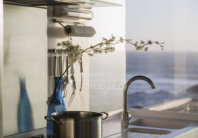 Квіти в пляшці на кухонній лічильнику з видом на океан — стокове фото