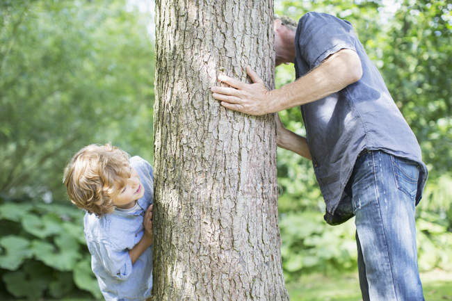 Padre e hijo mirando alrededor del árbol - foto de stock