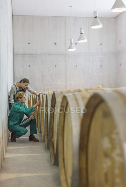 Les vignerons examinent les tonneaux dans la cave de la cave — Photo de stock