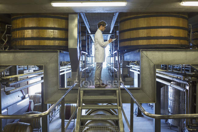 Winzer im Laborkittel auf Plattform im Weinkeller — Stockfoto