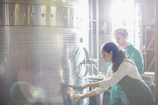 Vintners barrel tasting white wine from stainless steel vat in sunny cellar — Stock Photo