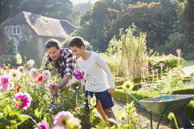 Father and son picking flowers in sunny garden — Stock Photo