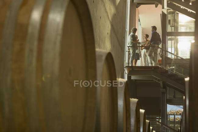 Vintners talking on platform in winery cellar — Stock Photo