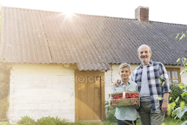 Retrato orgulloso abuelo y nieto con fresas cosechadas - foto de stock