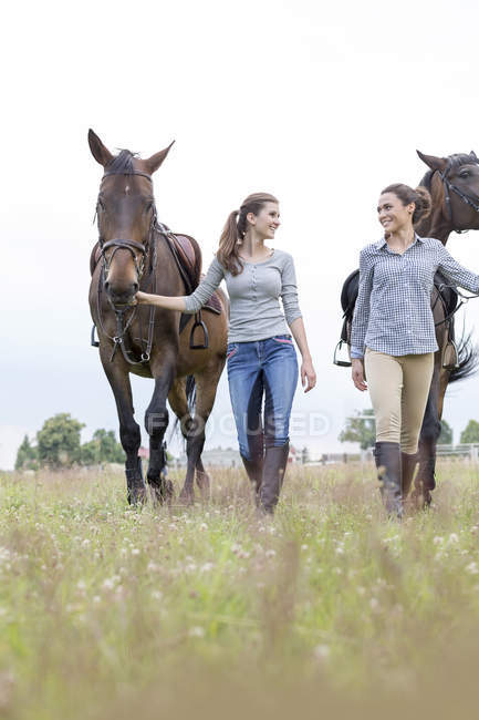 Женщины, ходящие на лошадях в сельской местности — стоковое фото