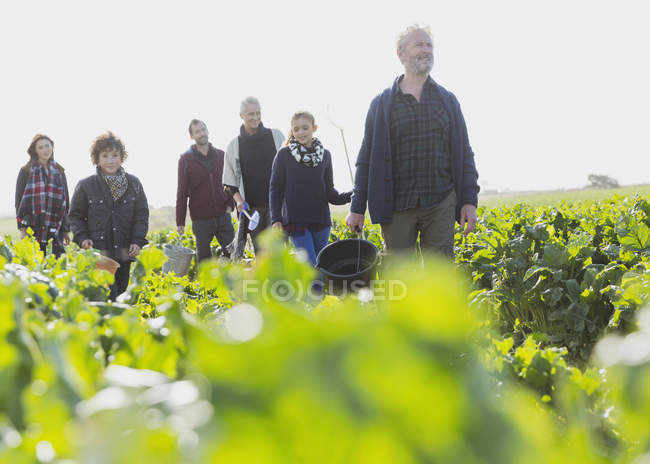 Famille multi-génération marchant dans un potager ensoleillé — Photo de stock
