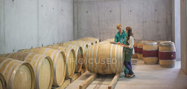 Les vignerons parlent dans des tonneaux dans une cave — Photo de stock