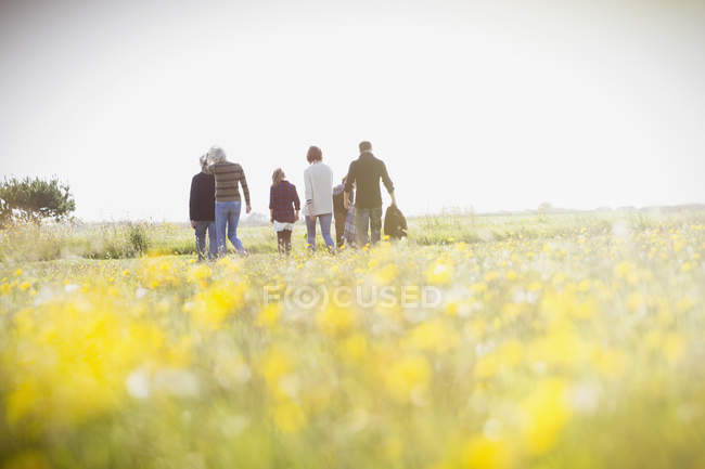 Família de várias gerações andando no prado ensolarado com flores silvestres — Fotografia de Stock