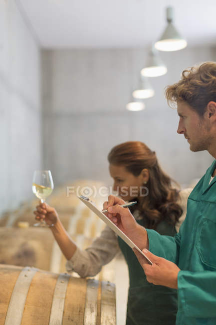 Viticoltori che esaminano il vino bianco in cantina — Foto stock