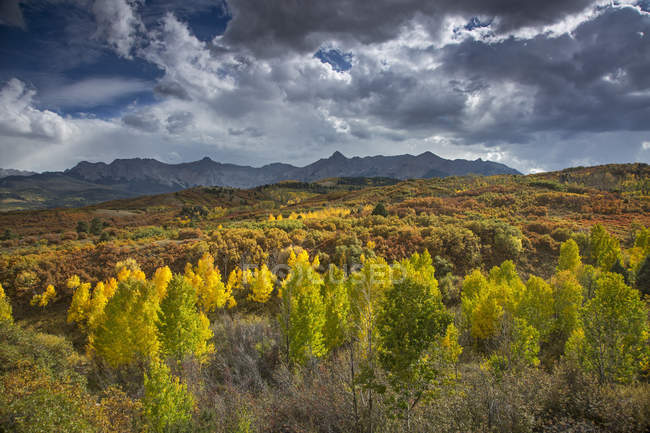 Nuvole sopra alberi gialli autunnali nella valle sotto le montagne, Dallas Divide, Colorado, Stati Uniti
, — Foto stock