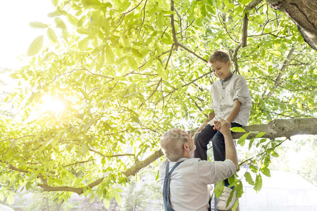 Дедушка помогал внуку на ветке дерева — стоковое фото