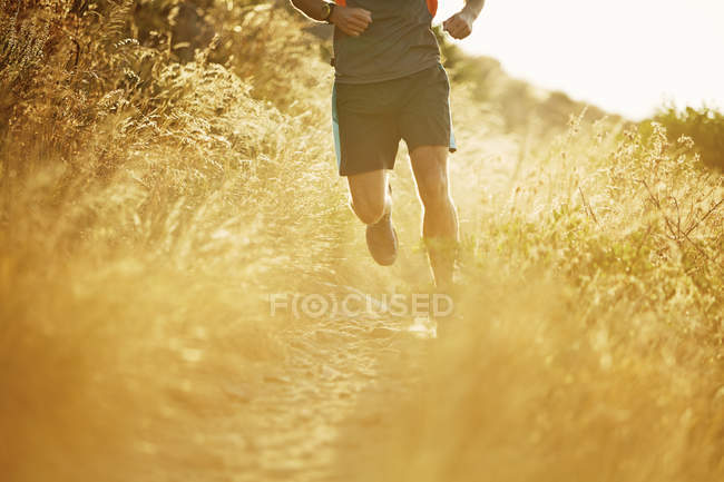 Homem correndo em trilha ensolarada através de grama alta — Fotografia de Stock