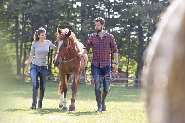 Couple walking horse in rural pasture — Stock Photo