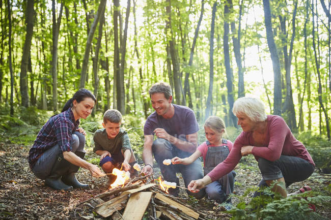 Сімейство мульти-покоління смажать зефір під час пожежі в лісі — стокове фото