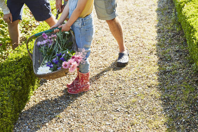 Familie pflückt Blumen im Garten — Stockfoto