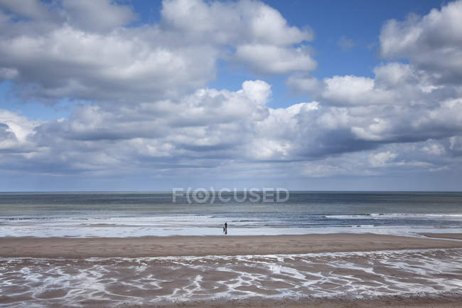 Clouds over ocean at low tide — Stock Photo