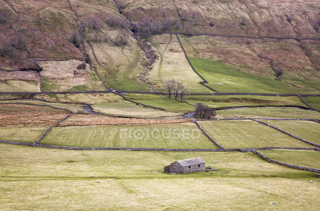 Casa y pastos en el paisaje rural - foto de stock