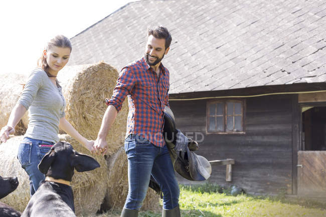 Couple holding hands walking with saddle and dogs outside barn — Stock Photo