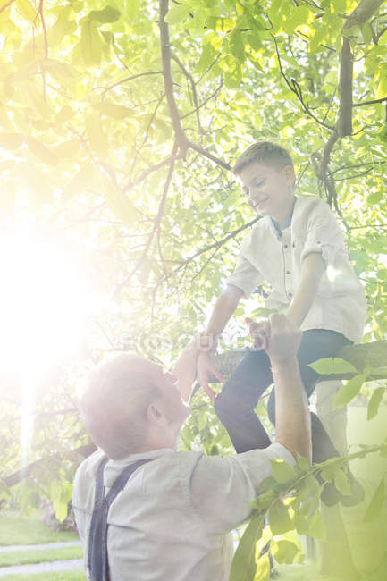 Grandfather helping grandson off sunny tree branch — Stock Photo