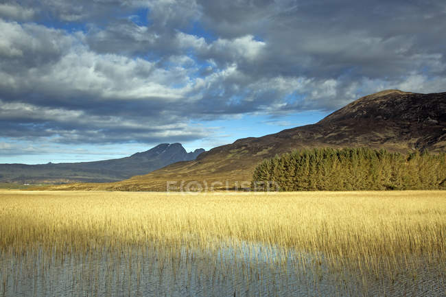 Vista panorâmica pântano ensolarado e colinas, Loch Carron, Wester Ross, Escócia — Fotografia de Stock