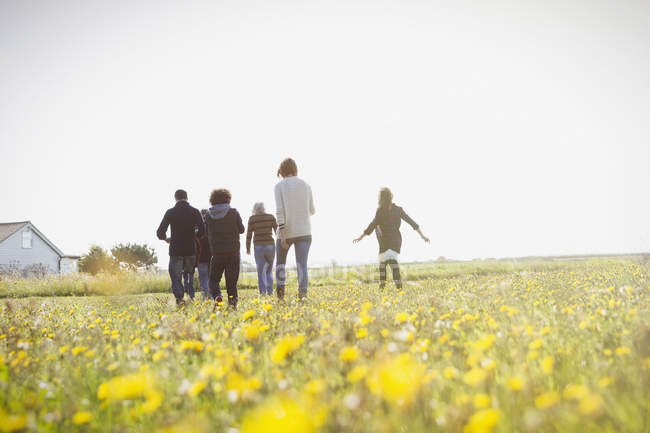 Родина багатьох поколінь, що ходить на сонячному лузі з польовими квітами — стокове фото