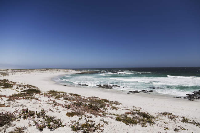 Живописный вид волн, катящихся по песчаному пляжу — стоковое фото