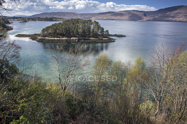 Árboles en la pequeña isla del lago, Loch Torridon, Wester Ross, Escocia - foto de stock