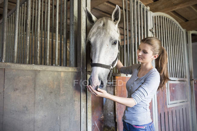 Woman feeding horse at stable stall — Stock Photo