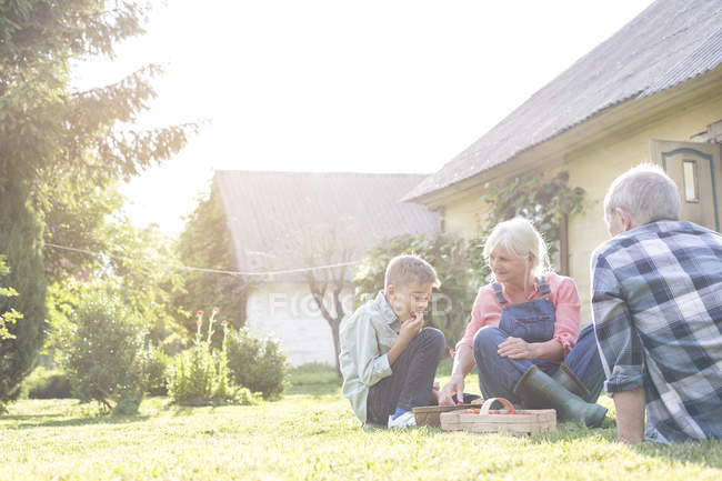 Бабушка с дедушкой и внук едят клубнику на солнечном дворе — стоковое фото