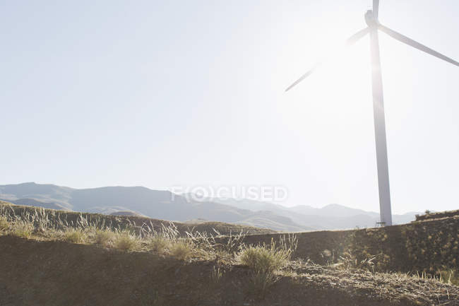 Спінінг вітрових турбін у сільському ландшафті — стокове фото
