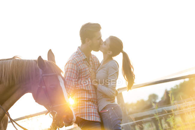 Casal afetuoso beijando ao lado de cavalo em pasto rural ensolarado — Fotografia de Stock