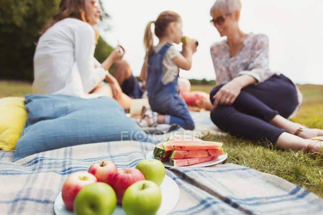 Яблоки и арбуз на одеяле для пикника рядом с семьёй из нескольких поколений — стоковое фото