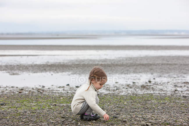 Girl picking up pebbles on beach — Stock Photo