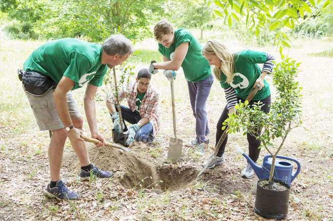 Volontaires écologistes plantant un nouvel arbre — Photo de stock