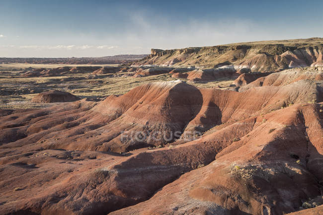 Painted Desert Petrified Forest National Park, Arizona Stati Uniti — Foto stock