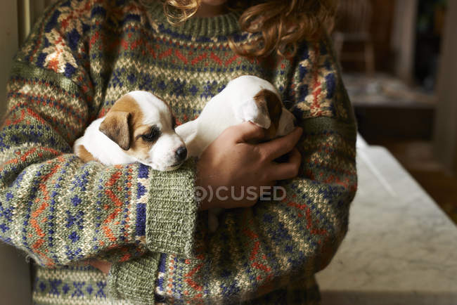Girl in sweater holding puppies at home — Stock Photo
